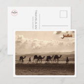Ägypten - Kamele - Postkarte (Vorne/Hinten)