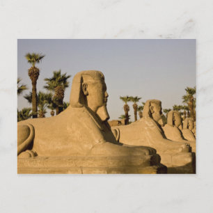 Ägypten, Luxor. Die Sphinxallee führt zu Postkarte