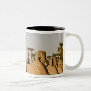 Ägypten, Luxor. Die Sphinxallee führt zu Zweifarbige Tasse