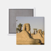 Ägypten, Luxor. Die Sphinxavenue führt Magnet (Vorderseite/Rückseite)