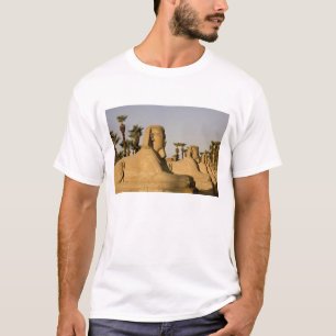 Ägypten, Luxor. Die Straße der Sphinxen führt z T-Shirt