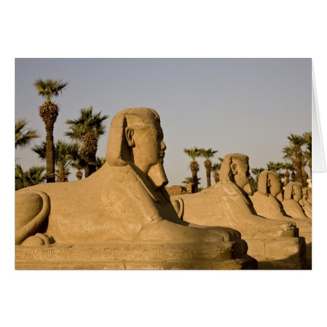 Ägypten, Luxor. Die Straße der Sphinxen führt zu (Vorderseite (Horizontal))