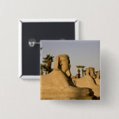 Ägypten, Luxor. Die Straße der Sphinxen führt zu Button (Vorne & Hinten)