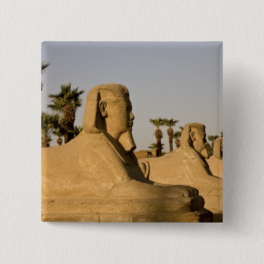 Ägypten, Luxor. Die Straße der Sphinxen führt zu Button (Vorderseite)