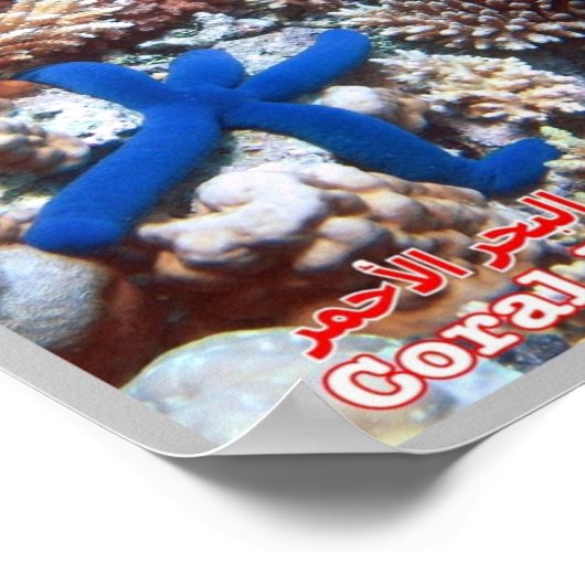 Ägypten - Rotes Meer - Barrier Reef - Poster (Ecke)