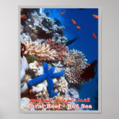 Ägypten - Rotes Meer - Barrier Reef - Poster (Vorne)