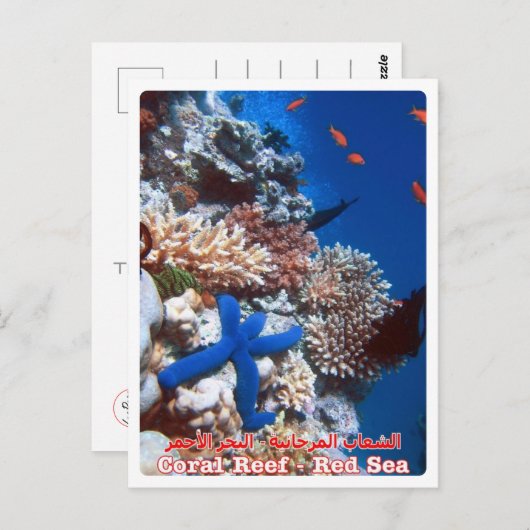 Ägypten - Rotes Meer - Barrier Reef - Postkarte (Vorne/Hinten)