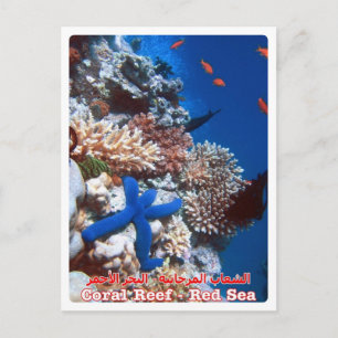 Ägypten - Rotes Meer - Barrier Reef - Postkarte