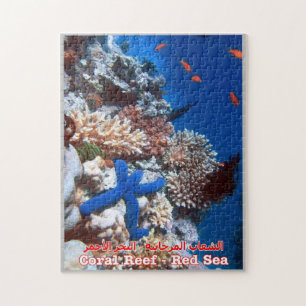 Ägypten - Rotes Meer - Barrier Reef - Puzzle