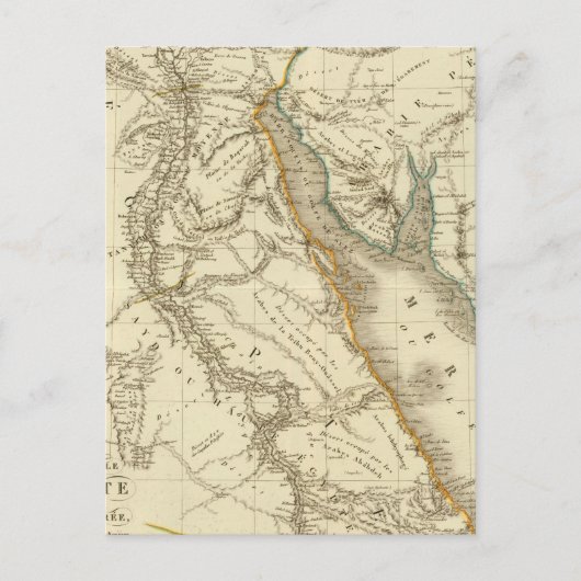Ägypten, Saudi Petree Postkarte (Vorderseite)