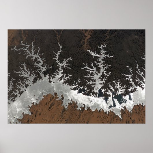 Ägyptens Nasssee Poster (Vorne)