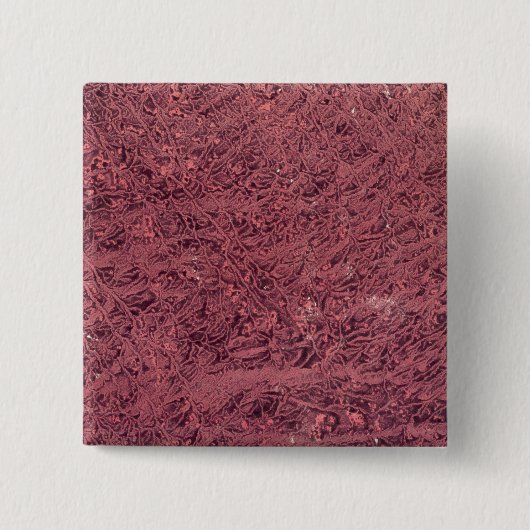 Ägypter Button (Vorderseite)
