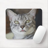 Ägypter Mau Katzen-Mausunterlage Mousepad (Mit Mouse)