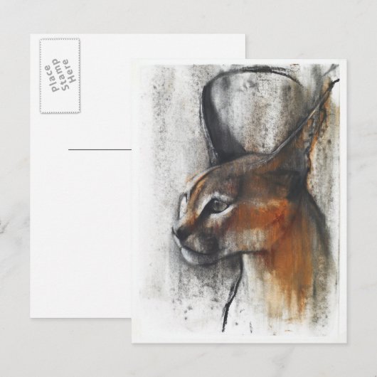 ägyptisch postkarte (Vorne/Hinten)