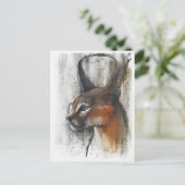 ägyptisch postkarte (Stehend Vorderseite)