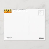 ägyptisch postkarte (Rückseite)