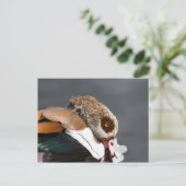 Ägyptische Gans Postkarte (Stehend Vorderseite)