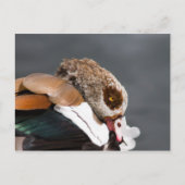 Ägyptische Gans Postkarte (Vorderseite)
