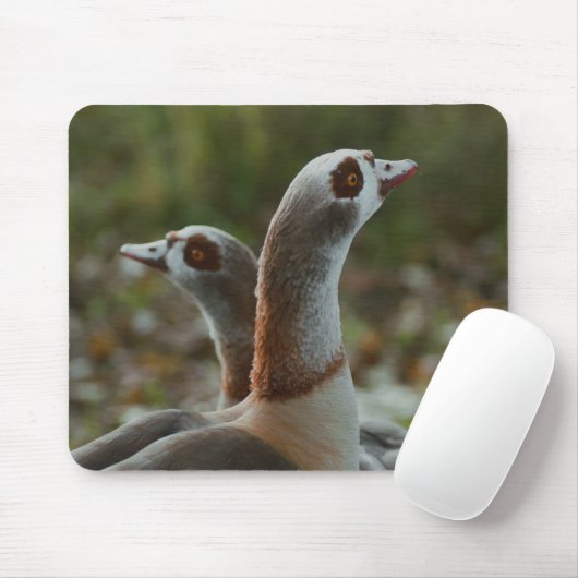 Ägyptische Gänse Mousepad (Mit Mouse)