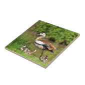 Ägyptische Gänse und Küken Fliese (Seite)