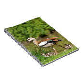 Ägyptische Gänse und Küken Notizblock (Rechte Seite)