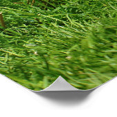 Ägyptische Gänse und Küken Poster (Ecke)