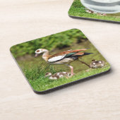 Ägyptische Gänse und Küken Untersetzer (Linke Seite)