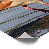 Ägyptische Gänserollage Poster (Ecke)