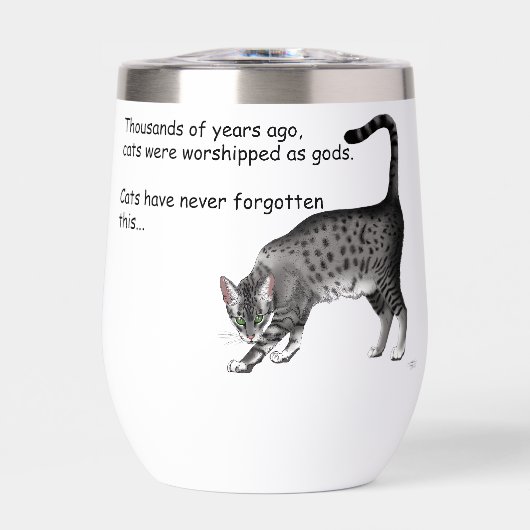 Ägyptische Gray Tabby Cat (Vorderseite)