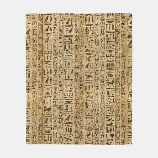 Ägyptische Hieroglyphen auf Papyrus Fleecedecke (Vorderseite)