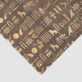 Ägyptische Hieroglyphen aus Gold auf der Braunseit Seidenpapier (Detail)