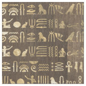 Ägyptische Hieroglyphen aus Gold Stoff (Nahaufnahme)