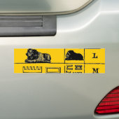 ägyptische Hieroglyphen Autoaufkleber (Auf Auto)