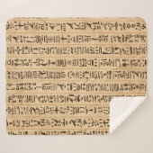 Ägyptische Hieroglyphen, grunge nahtloses Muster Sherpadecke (Vorderseite (Horizontal))