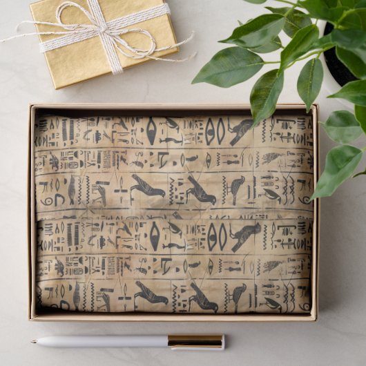 ägyptische Hieroglyphen Vögel Muster 2 Seidenpapier (Geschenk)