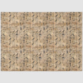 ägyptische Hieroglyphen Vögel Muster 2 Seidenpapier (Vorderseite)