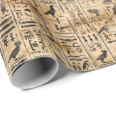 Ägyptische Hieroglyphen Vogelmuster 2 Geschenkpapier (Rolleneckpunkt)
