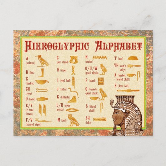 Ägyptische Hieroglyphische Alphabetdiagramme Postkarte (Vorderseite)