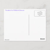 ÄGYPTISCHE KARABISCHE BEETTENZsammlung Postkarte (Rückseite)