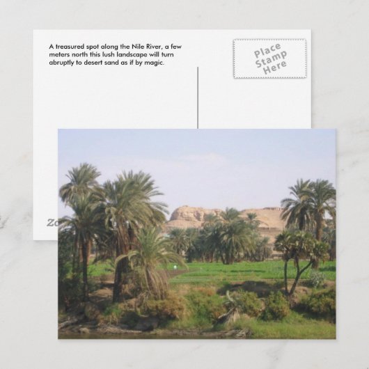 Ägyptische Landschaft Postkarte (Vorne/Hinten)