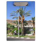 Ägyptische Palmen Klemmbrett (Vorderseite)