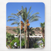 Ägyptische Palmen Mousepad (Vorne)