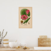 Ägyptische Pink-Wasserlilie | Vintage botanische S Poster (Küche)