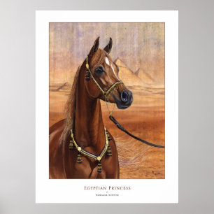 Ägyptische Prinzessin Arabian Pferdeposter ALL SIZ Poster