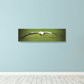 Ägyptische Vulture Closeup Panorama Canvas Print Leinwanddruck (Insitu (Holzboden))