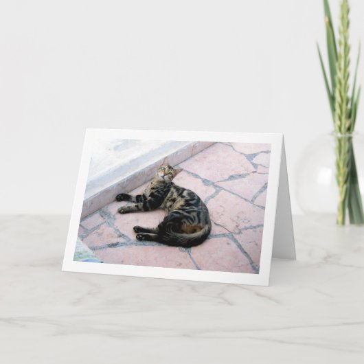 Ägyptische Wild Cat Karte (Vorderseite)