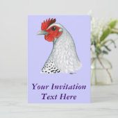 Ägyptischer Fayoumi: Silver Hen Einladung (Stehend Vorderseite)