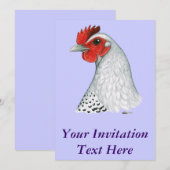 Ägyptischer Fayoumi: Silver Hen Einladung (Vorne/Hinten)