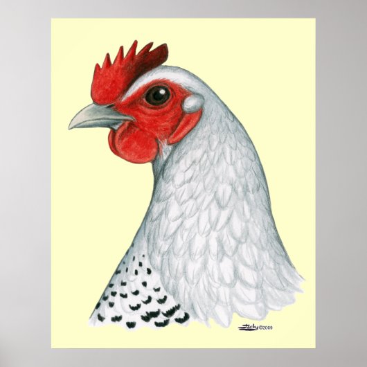 Ägyptischer Fayoumi: Silver Hen Poster (Vorne)