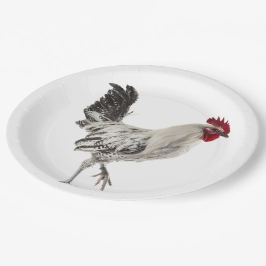 Ägyptischer Fayoumis-Rooster Pappteller (Schrägansicht)